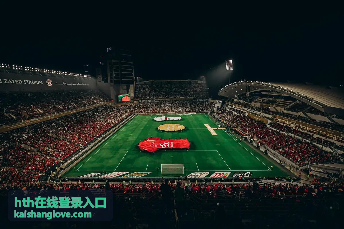 hth在线登录入口多设备登录验证流程示意